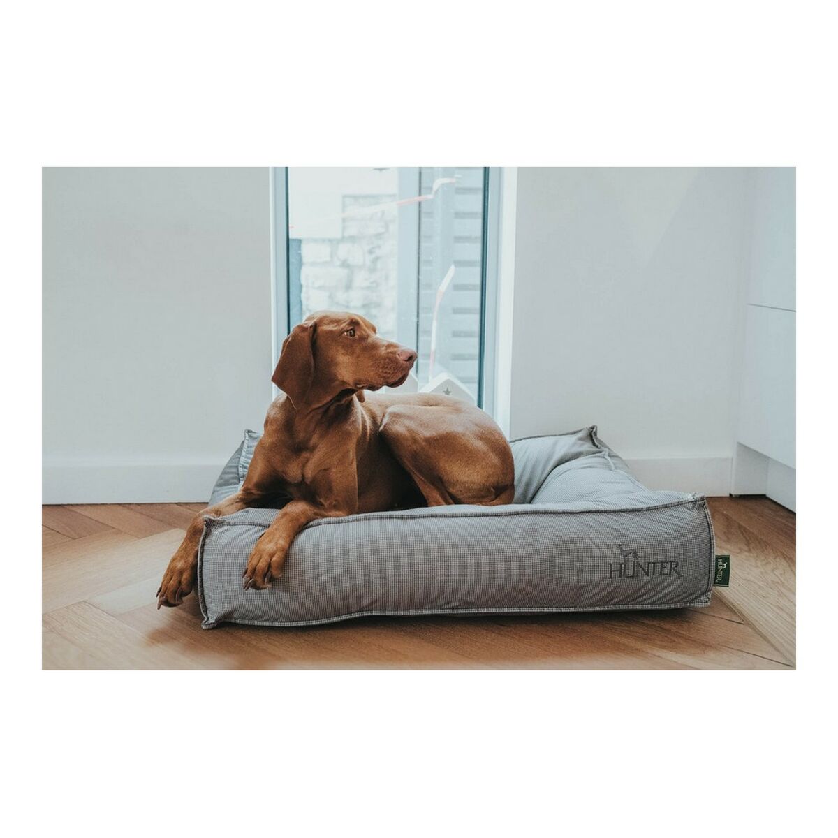 Cuccia per Cani Hunter Lancaster Grigio 120x90 cm